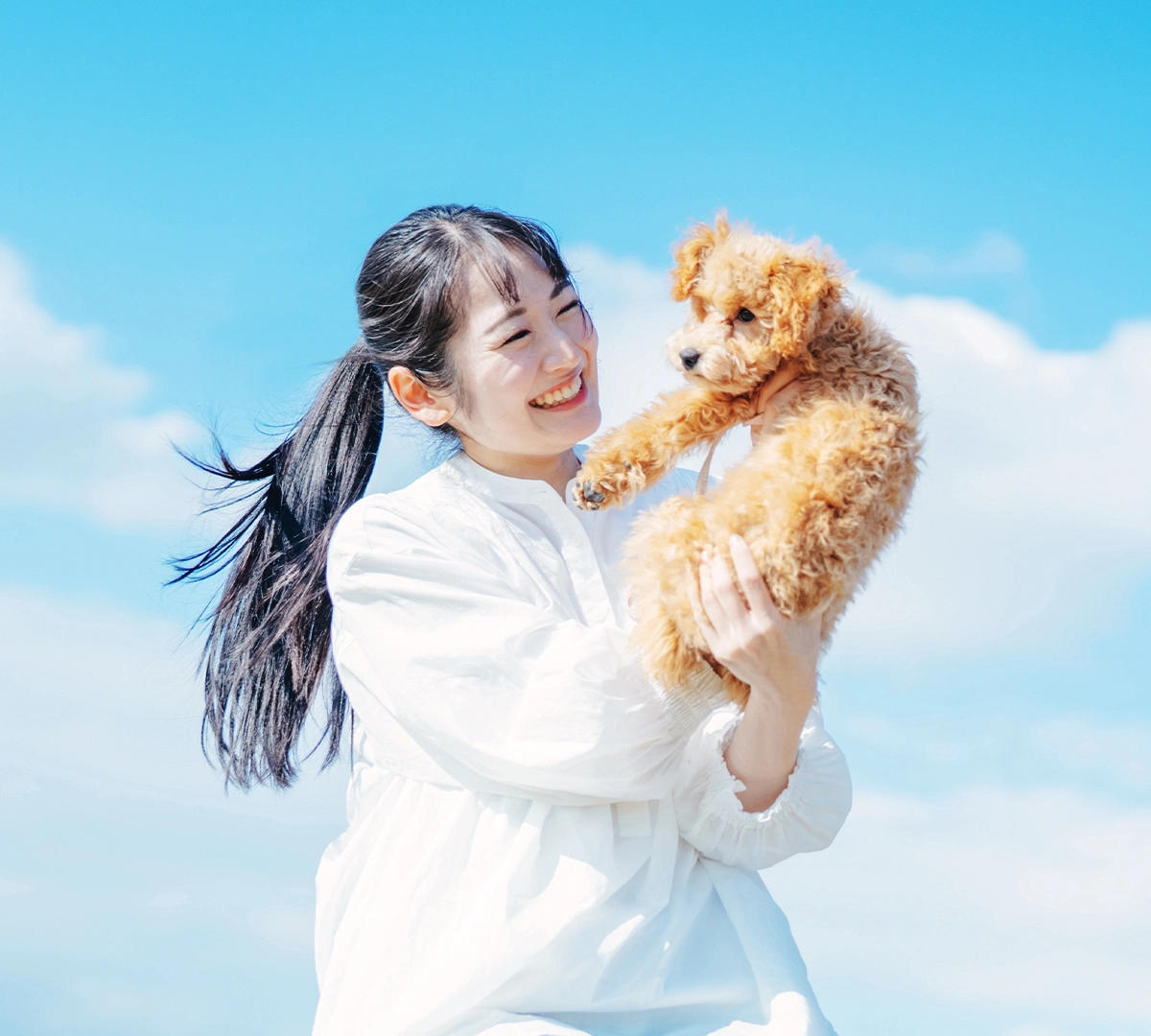 浜名湖パルパルで、わんちゃんと特別な思い出を。<br/>体高50cm未満のわんちゃんなら飼い主さんと一緒に遊べちゃう！ - content image