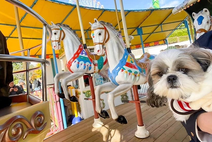 アトラクションを体験！